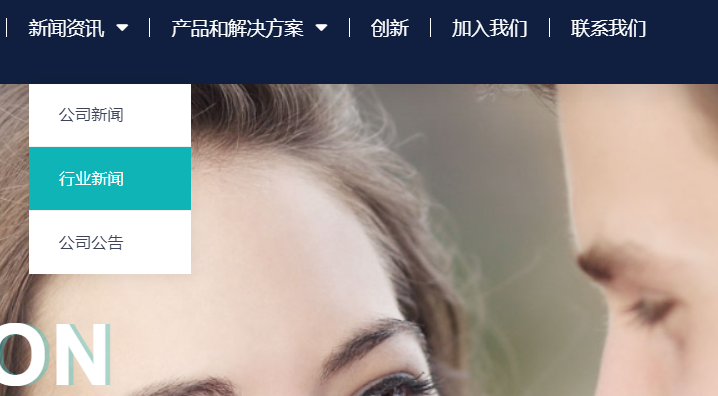 wordpress后台外观处没有菜单显示